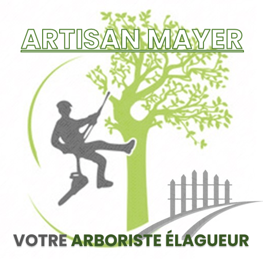 Arboriste Élagueur 76