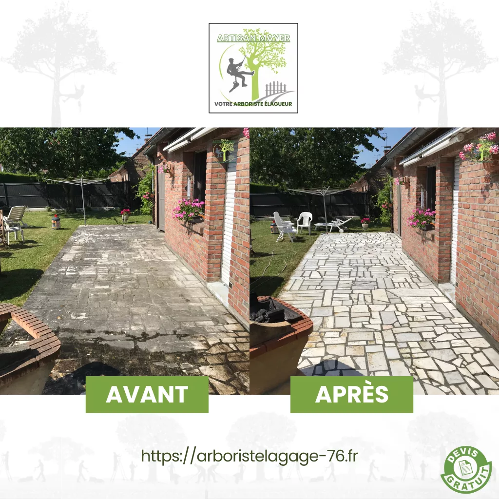 Avant Apres elagage abattage dessouchage taille de haie creation pelouse pose cloture entretien jardin arboristelagage-76.fr ML Artisan Elagueur