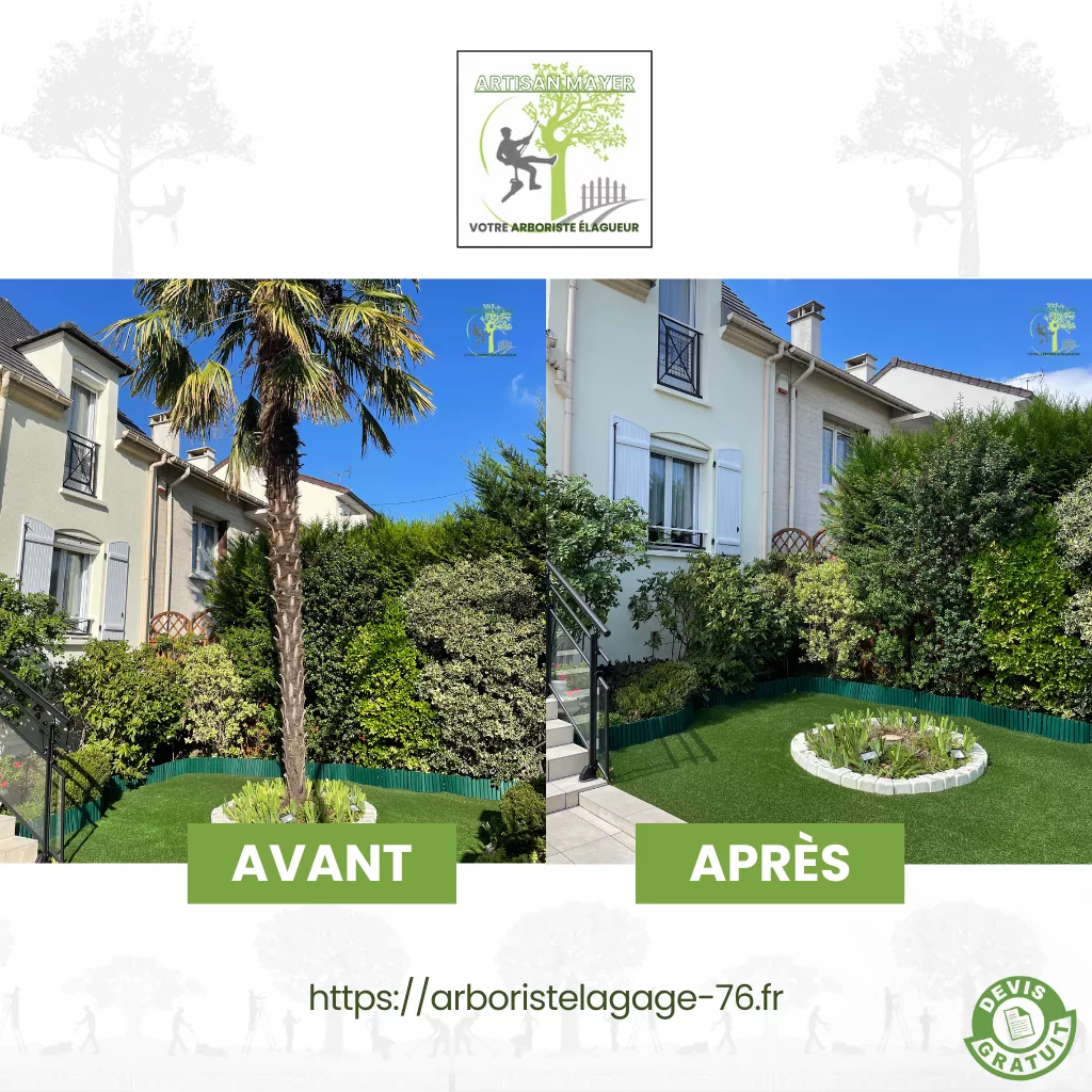 Avant Apres elagage abattage dessouchage taille de haie creation pelouse pose cloture entretien jardin arboristelagage-76.fr ML Artisan Elagueur